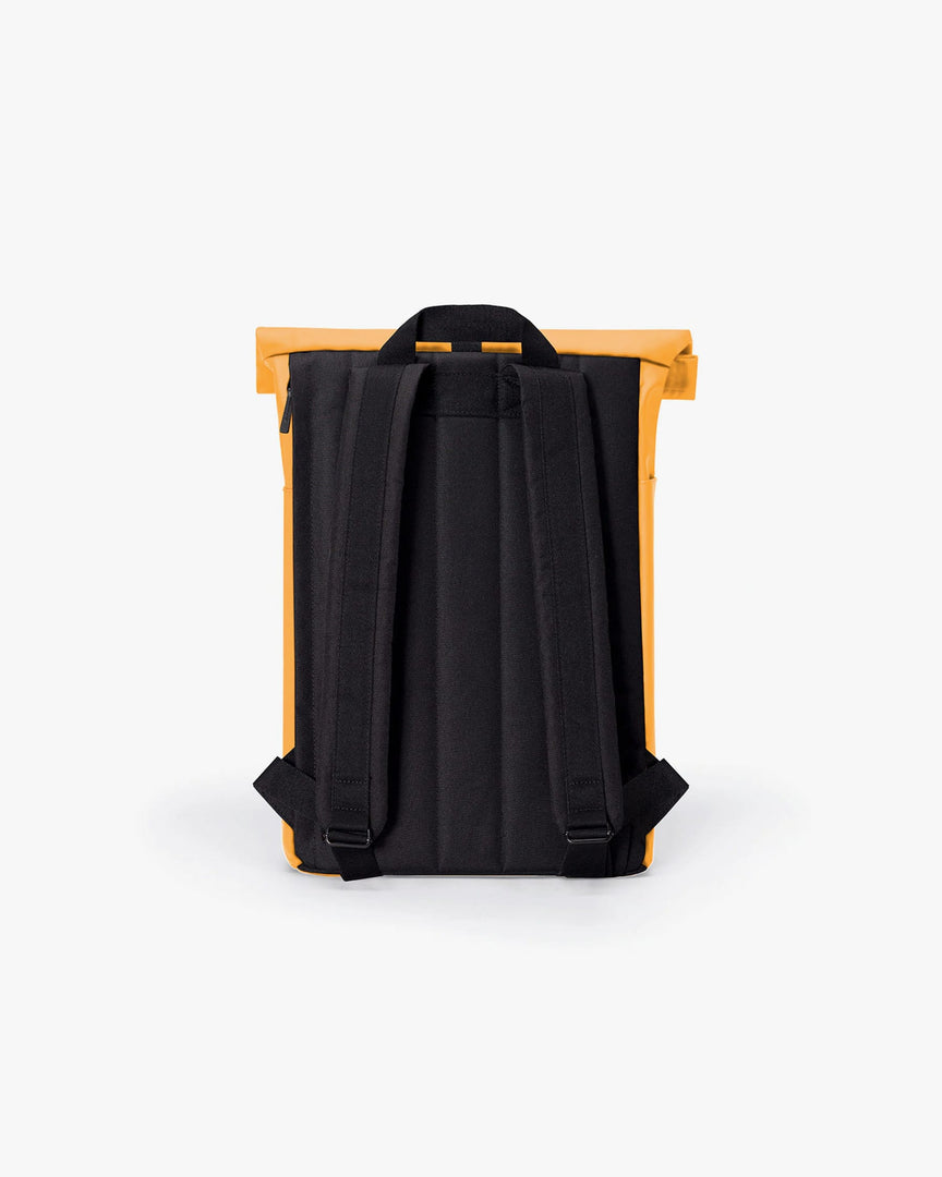 Sequoia Pants Standard Fit